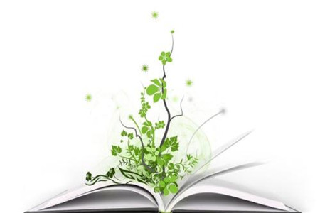 深圳自考报哪个学校比较好?