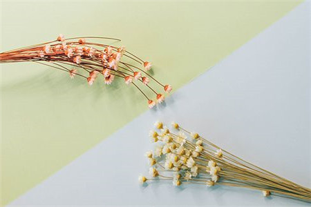 深圳自考应该如何复习?