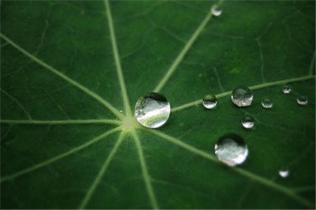 深圳自考考研申请出国留学吗?